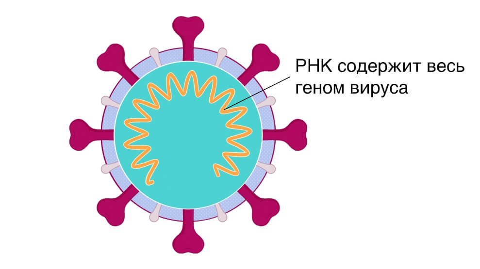 Кракен сайт вход официальный зеркало