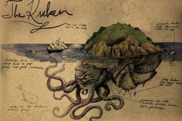 Kraken 24 at