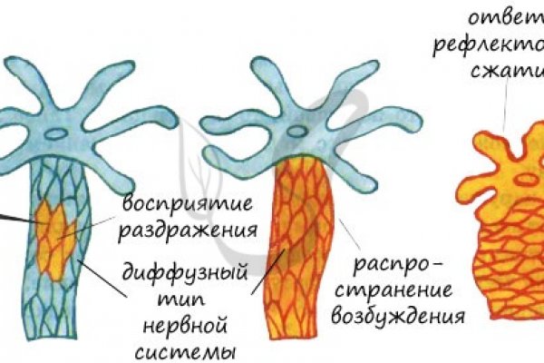 Кракен вход